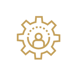i-ingenieria de imagen - consumidor proceso